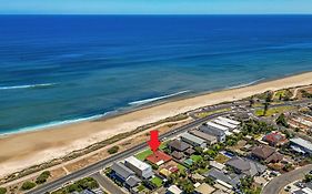 Swainson By Surf